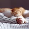 Diese Entspannungs-Methoden sorgen für einen guten Schlaf