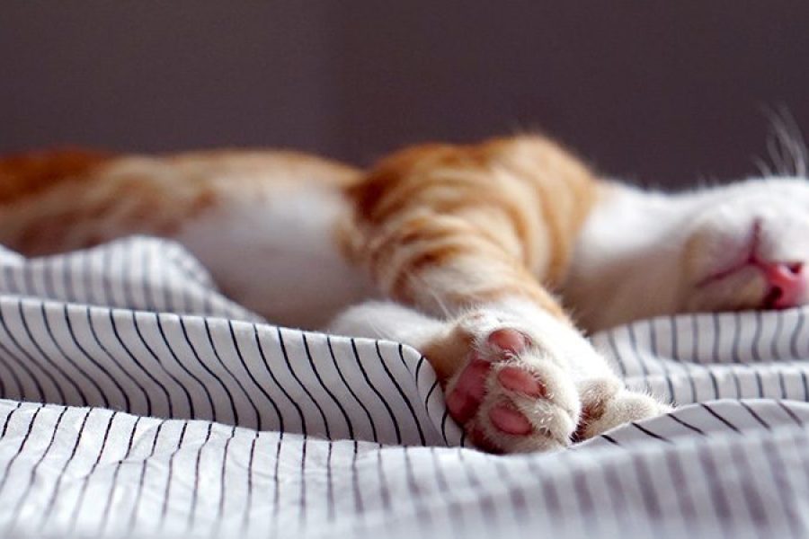 Diese Entspannungs-Methoden sorgen für einen guten Schlaf
